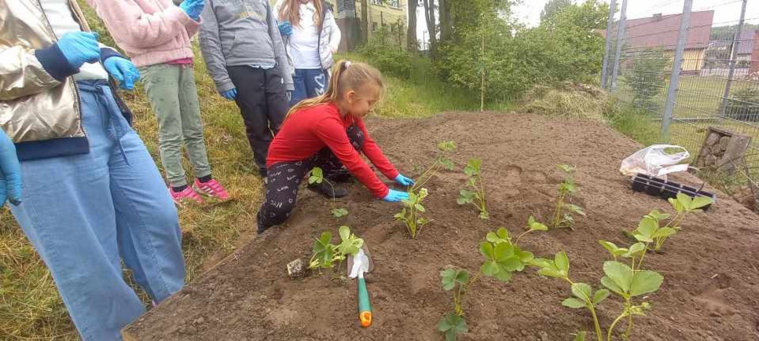 Resized-20220511-105032