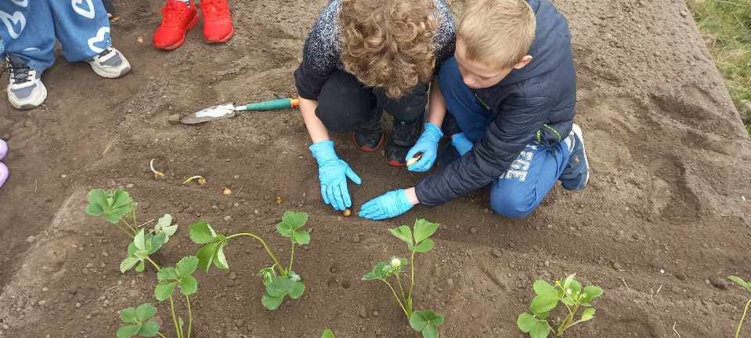 Resized-20220511-105435