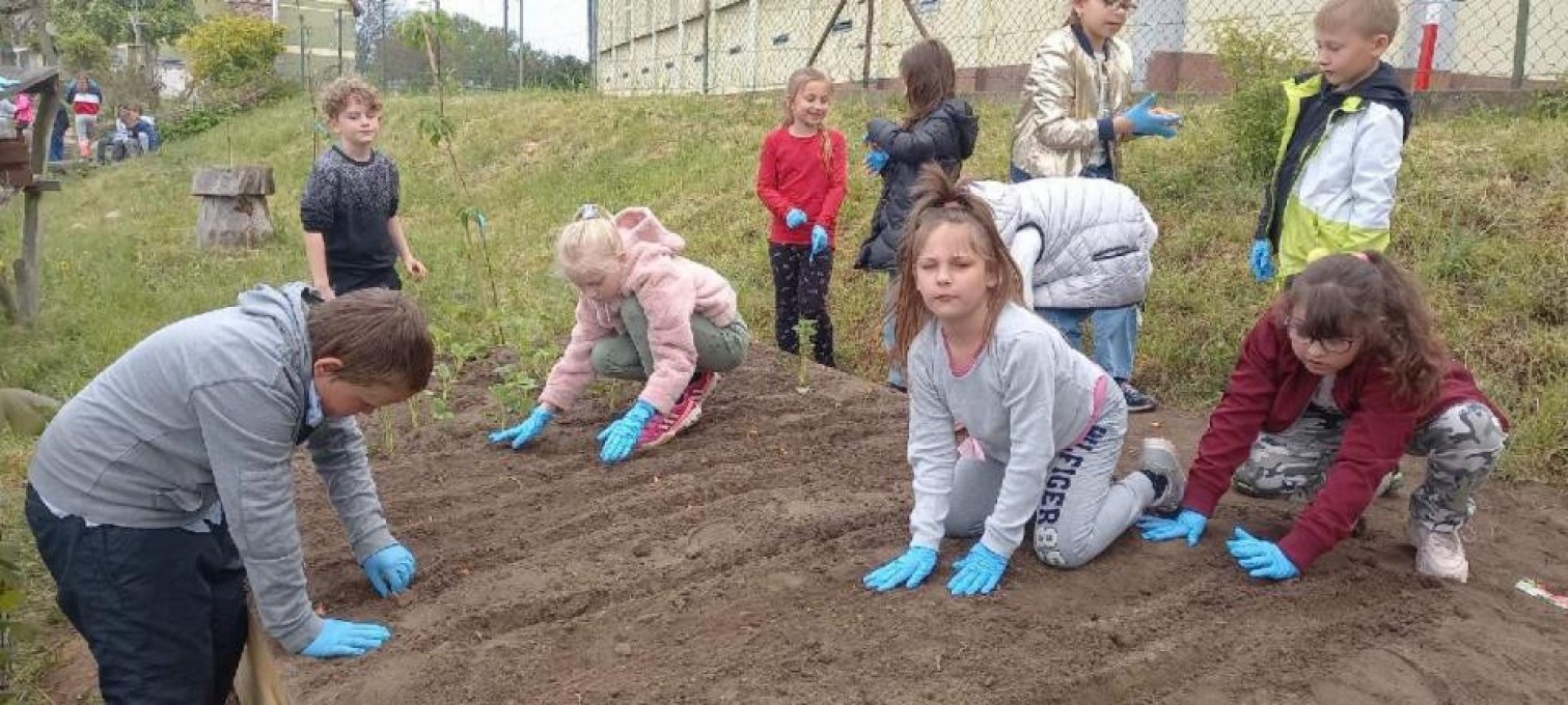 Resized-20220511-110416