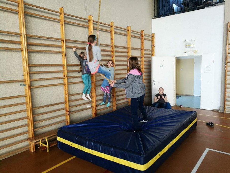 received_443041576087248