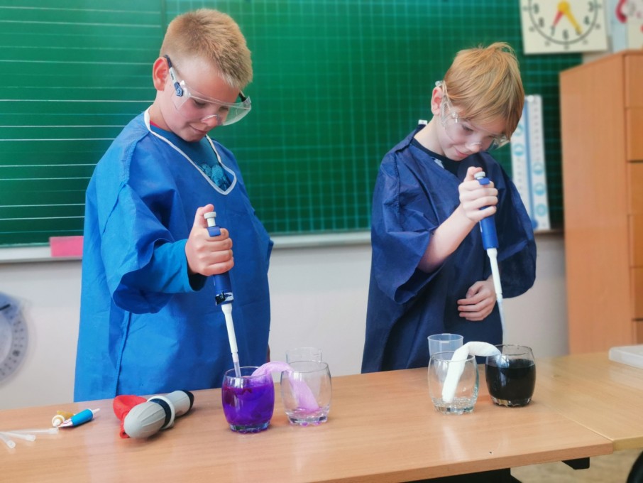 IMG_20210916_093656 — kopia