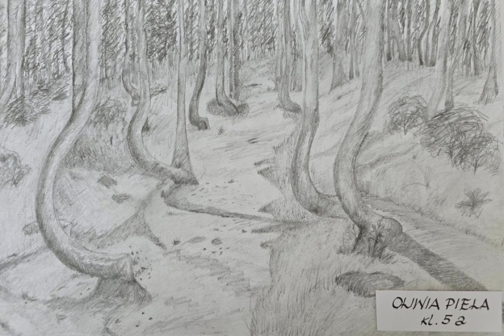 770 LAT  GRYFINA (3)