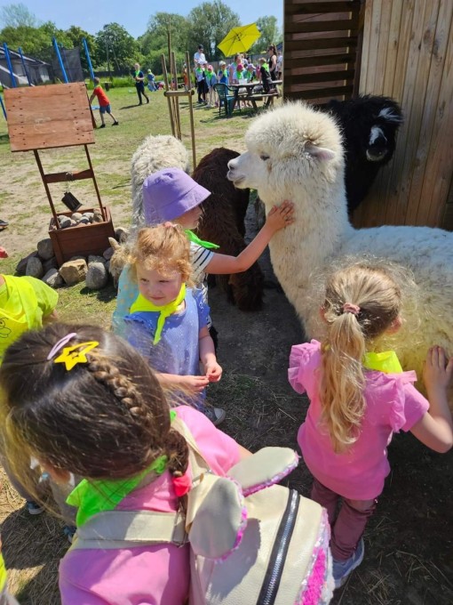 alpakowe zacisze 2024 (5)