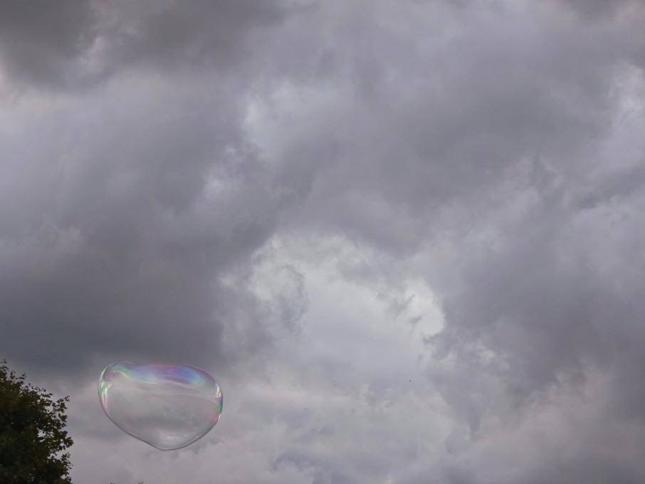 Piknik charytatywny (36)