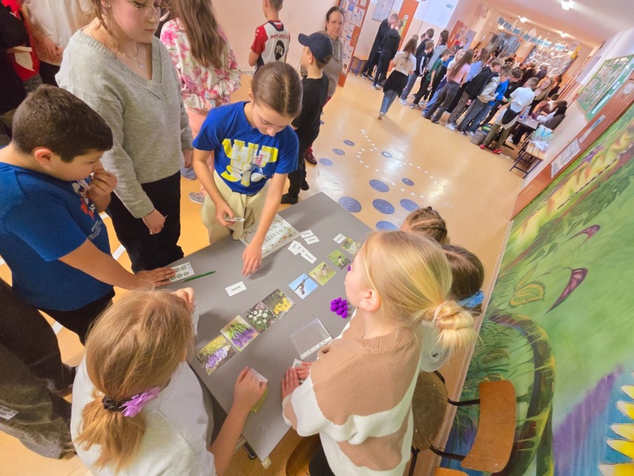 Szkolny Dzień Ekologii (8)