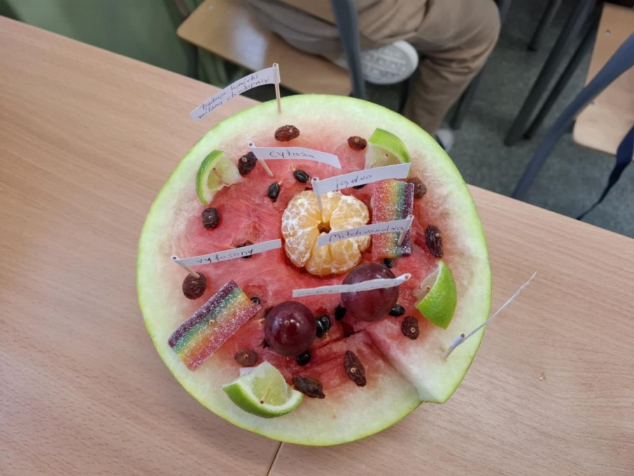 Piramida zdrowego żywienia (8)