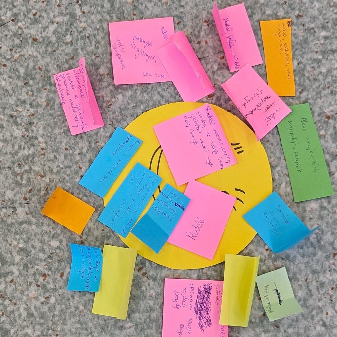 Warsztaty dla wolontariuszy (14)