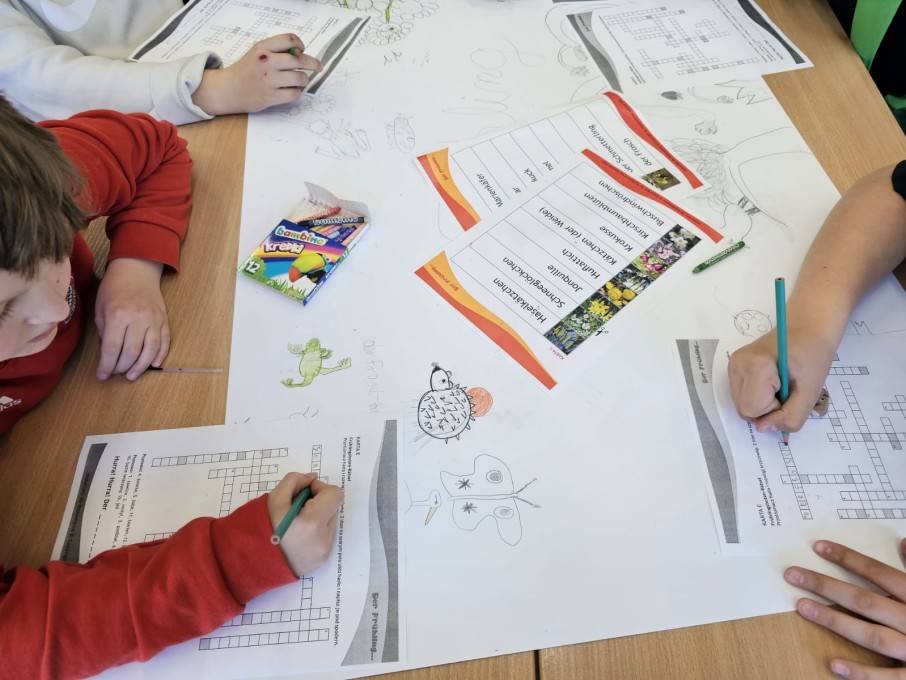 WhatsApp Image 2025-04-09 at 15.59.13_9d7ec71b