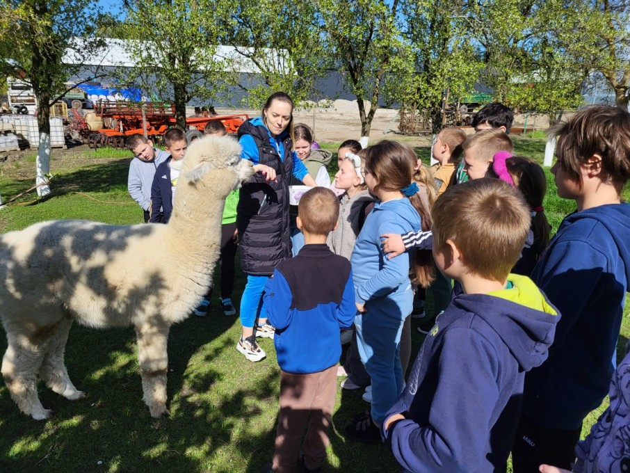 Zielona szkoła Myślibórz (18)
