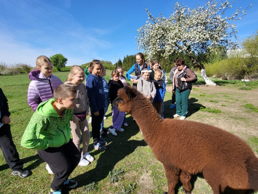 Zielona szkoła Myślibórz (19)