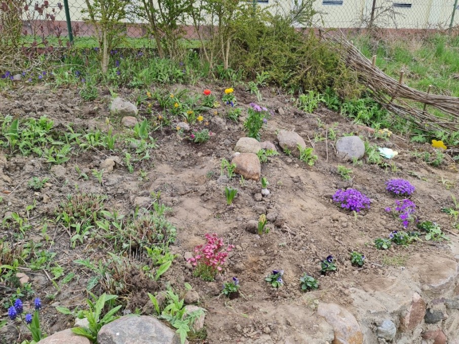 Dzień Ziemi 22 (21)